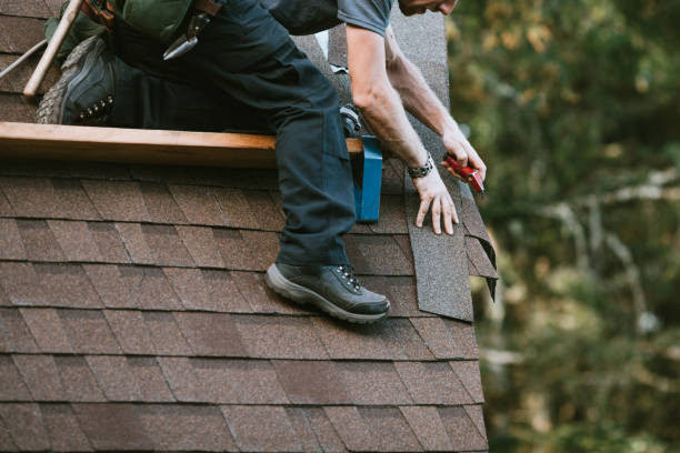 Roof Gutter Cleaning in Laurel Lake, NJ